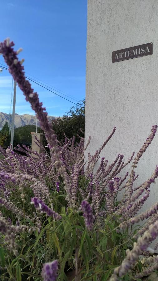 Vila Casa Artemisa Merlo Exteriér fotografie